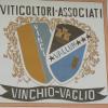 GITA VINCHIO NOV.2011 023