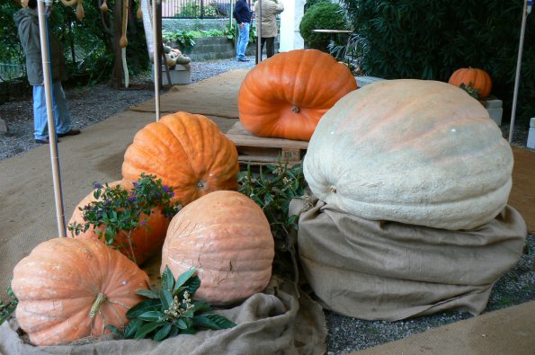 NATALE  2009 (20).jpg