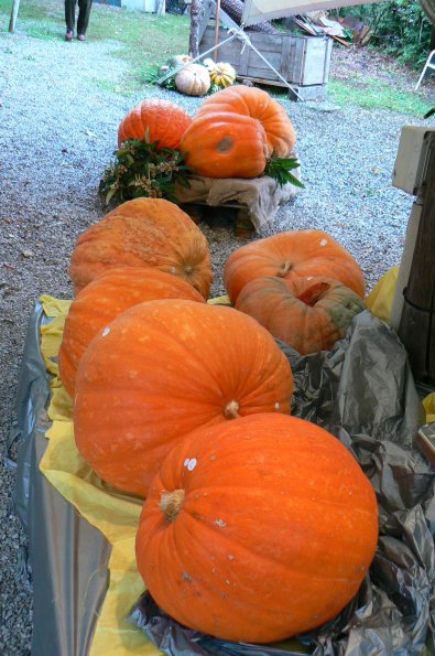 NATALE  2009 (8).jpg