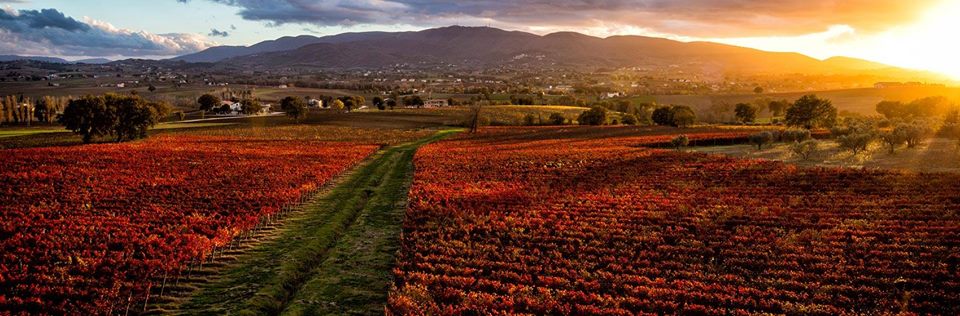 umbria